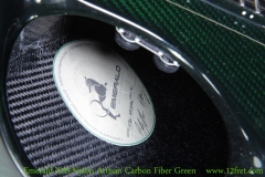 Emerald X20-Nylon Artisan Carbon Fiber Green Label View Emerald X20-Nylon Artisan Carbon Fiber Green Label View