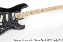Fender Stratocaster Black, Neck 2012, Body 2009 Full Front View Fender Stratocaster Black, Neck 2012, Body 2009 Full Front View