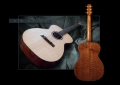 G. W. Barry Hand Built Guitars Full Back