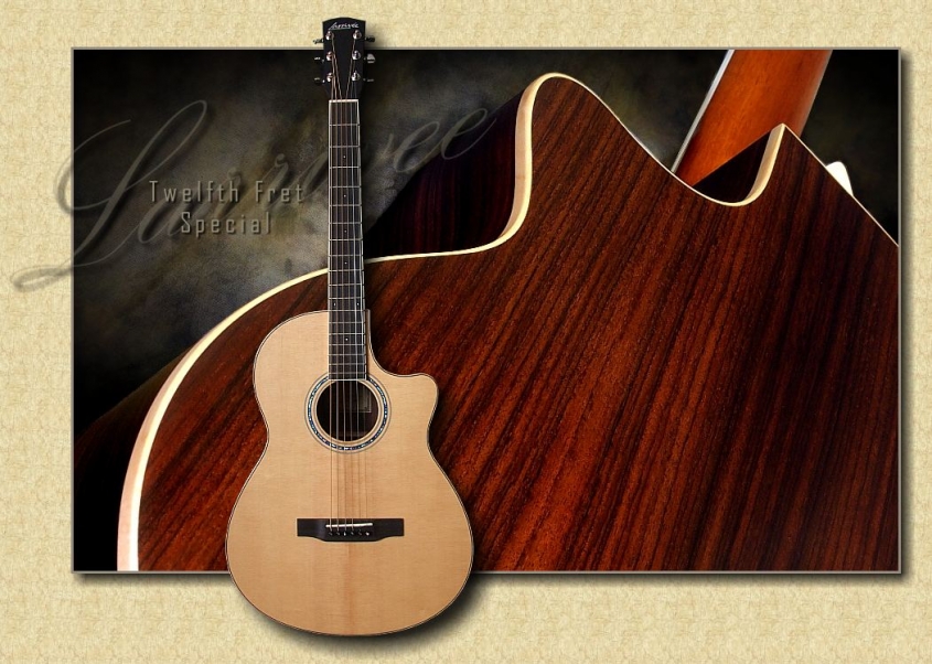 Larrivee_Twelfth_Fret_Special_2009