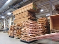 Martin Factory