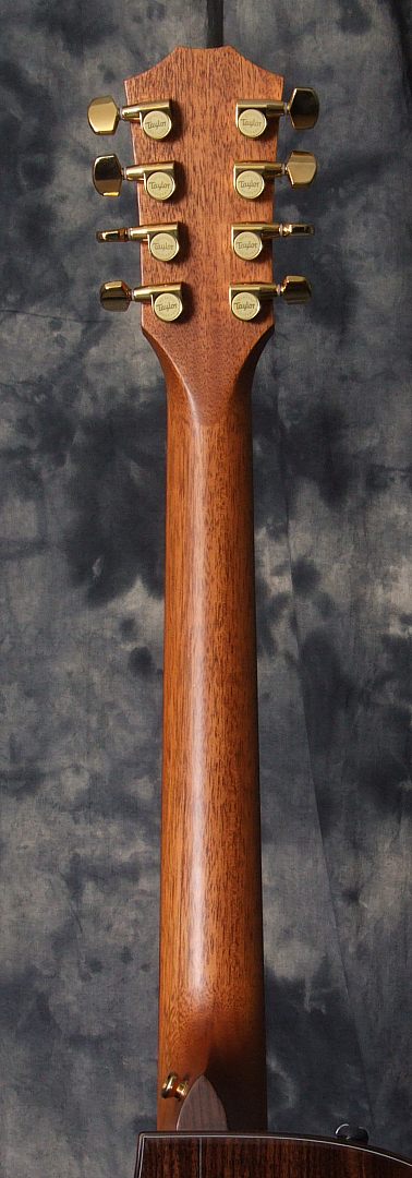 Taylor 8 String Baritone Guitar Neck Rear
