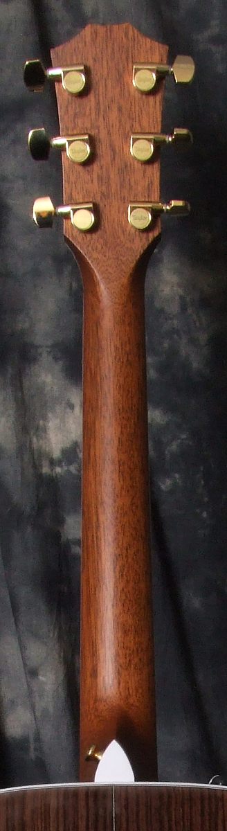 Taylor_Fall_Ltd_2010_810_Neck