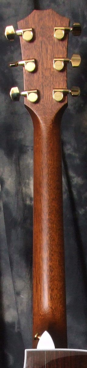 Taylor_Fall_Ltd_2010_816_Neck