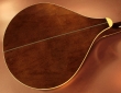 trinty-college-octave-mandolin-used-back-1