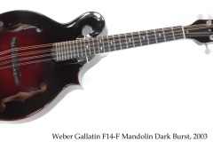 Weber Gallatin F14-F Mandolin Dark Burst, 2003 Full Front View Weber Gallatin F14-F Mandolin Dark Burst, 2003 Full Front View