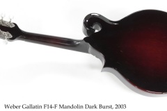 Weber Gallatin F14-F Mandolin Dark Burst, 2003 Full Rear View Weber Gallatin F14-F Mandolin Dark Burst, 2003 Full Rear View