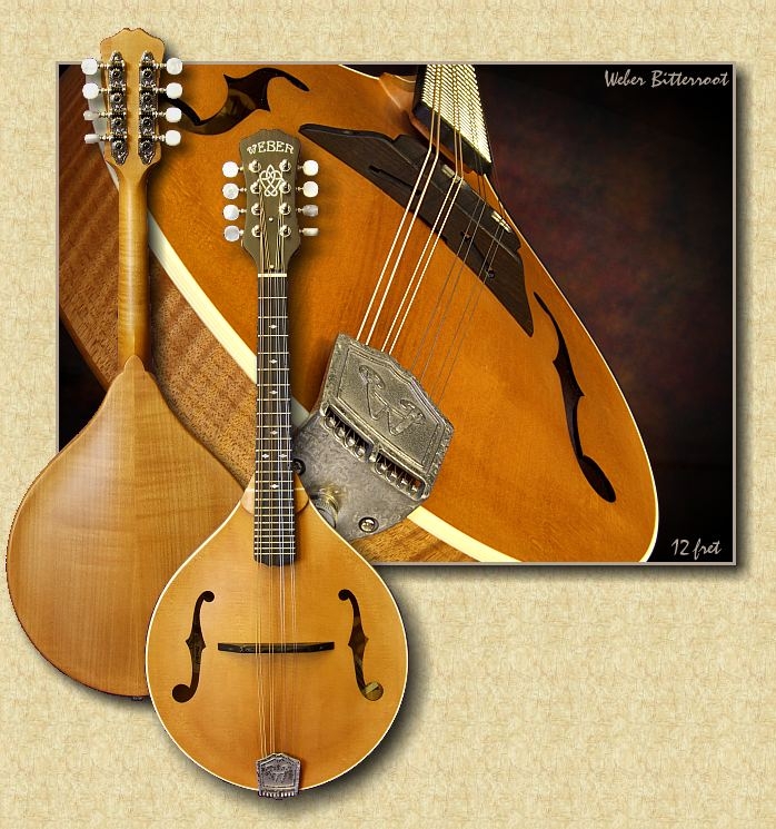 Weber_Bitterroot_mandolin_07
