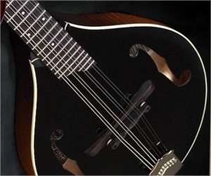 Collings Custom MT Blackface Mandolin 