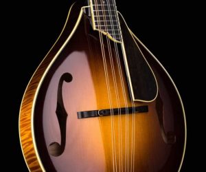  Collings MT2 V Mandolin Varnish A-Style