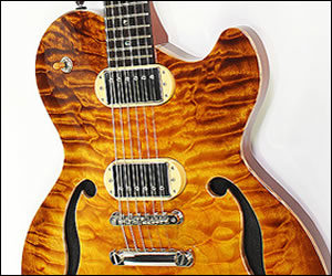   Robin Savoy Classic Thinline Archtop Electric Guitar | 2004