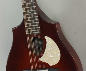  Seagull S8 Mandolin