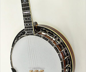  Stelling Sunflower 5-String Banjo, 2013