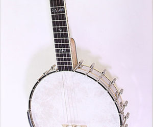  Wildwood Troubador Long Neck 5 String Banjo, 2006
