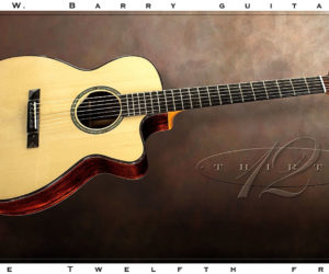  G W Barry 30-12 OM Steel String Guitar