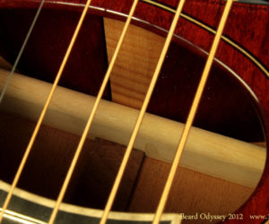  Beard Odyssey Resonator