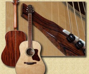  Bourgeois BK Slope Banjo Killer