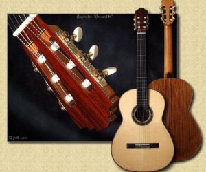 Cervantes Concert M Millenia Guitar 