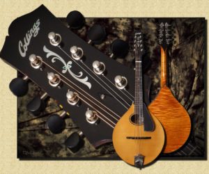  Collings MT-20 Oval Hole Mandolin (Discontinued)