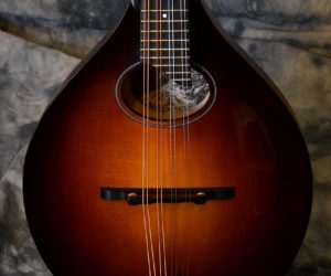  Collings MTO GT