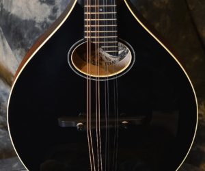  Collings MTO Blackface Mandolin