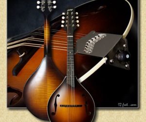 Collings Custom MT Mandolin 