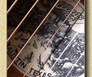  Collings SJ