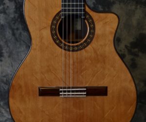  Sergei De Jonge Cutaway Classical 1981