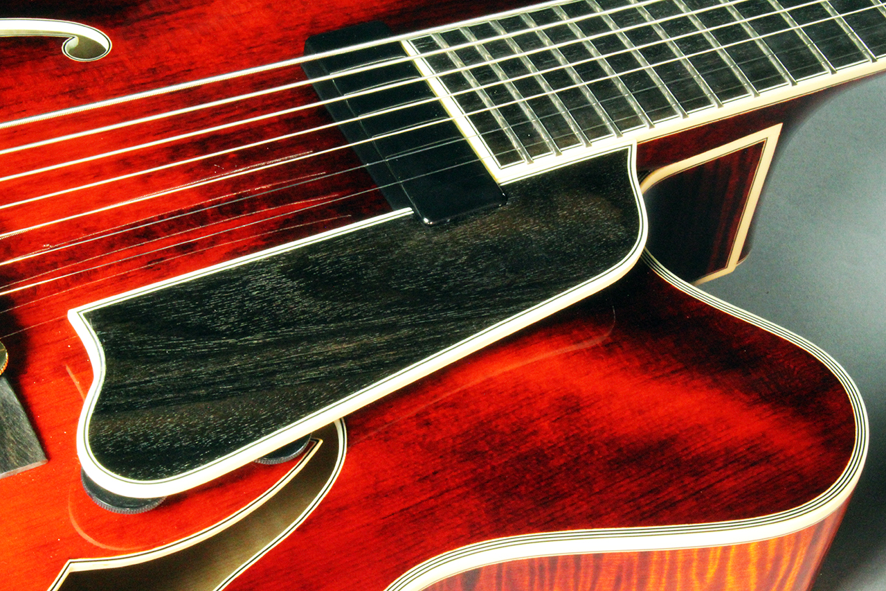 Eastman 7-String 810 Archtop - archive.12fret.com