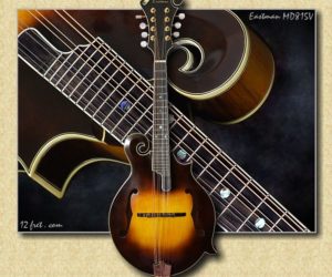 Eastman MD815V Varnish Mandolin 