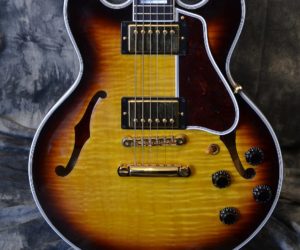 Gibson ES-359 2009 (Consignment) No longer available