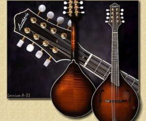 Larrivee A-33 Mandolin ()
