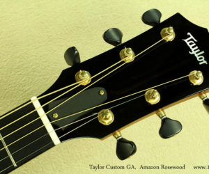  Taylor Custom GA Amazon Rosewood