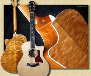  Taylor 616ce