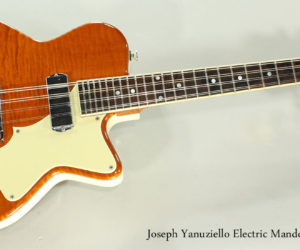   2010 Joseph Yanuziello Electric Mandolin