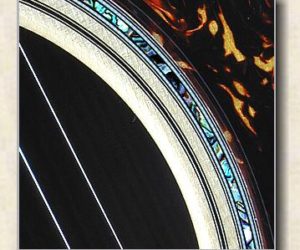  Collings D3