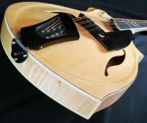 ! Eastman / Giacomel DG 1 Dawg Mandolin