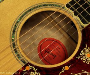 Gibson J-200M Trophy 75th Anniversary ()