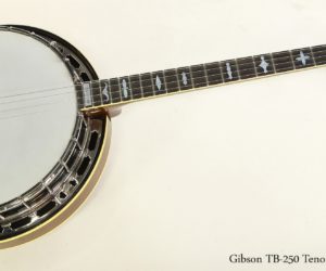   Gibson TB-250 Tenor Banjo, 1966