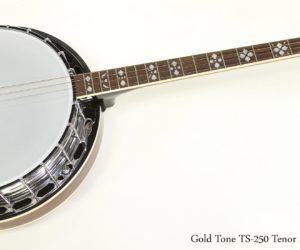   Gold Tone TS-250 Tenor Special Banjo