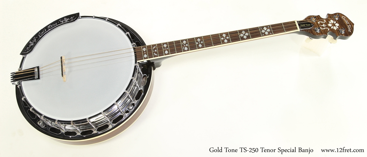 Gold Tone TS-250 Tenor Special Banjo | archive.12fret.com
