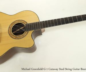  Michael Greenfield G-1 Cutaway Steel String Guitar Brazilian, 2002