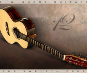  G W Barry 30-12 Mod C Ziricote Steel String Guitar
