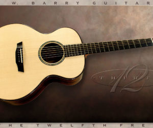  G W Barry 30-12 Mod C Ziricote