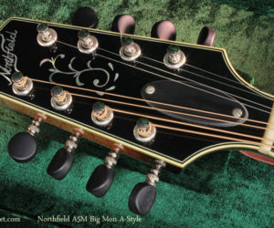  Presenting Northfield Mandolins