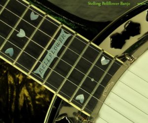  Stelling Bellflower Banjo