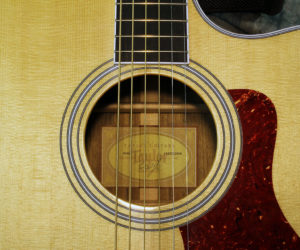 Taylor 416CE
