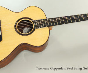  2016 Treehouse Copperdust Steel String Guitar