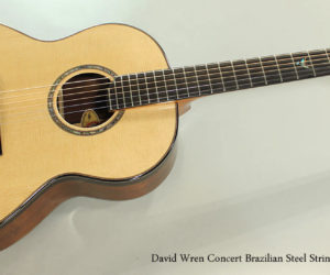  2015 David Wren Concert Brazilian Steel String Guitar