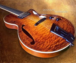 Harrison GB Blister Maple Sunburst, 2021
